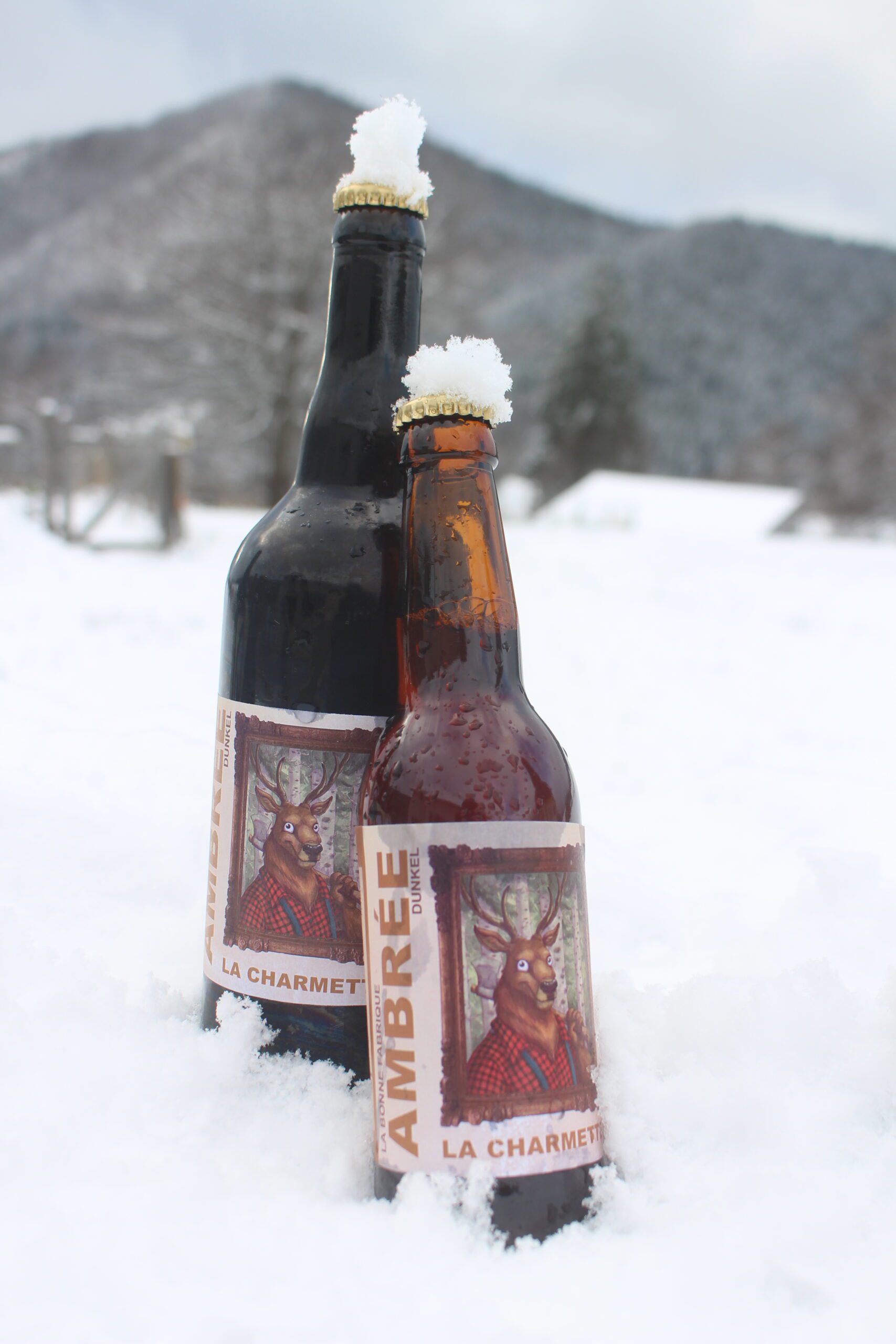 Etiquette de la biere du moment